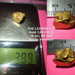 Nokta Legend - фото #579