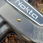 Nokta Legend - фото #664