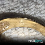 Nokta PulseDive - фото #742